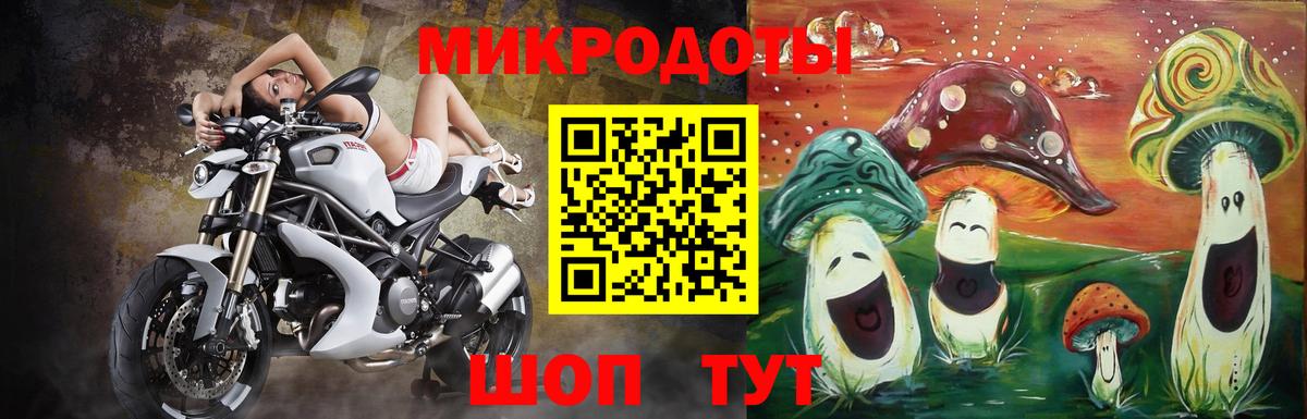 Томск  Галлюциногенные грибы Psilocybe  Вход с VPN 